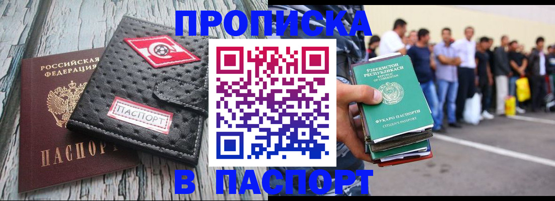 прописка регистрация в Камышине